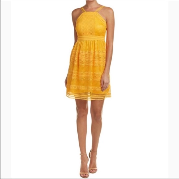 TAHARI “Arthur S. Levine dresses” On My Mind dress in honey NWT - Picture 2 of 12